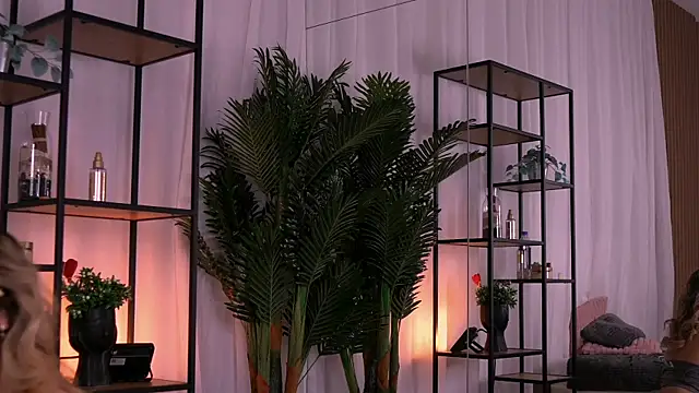 AishleyBee online show from 11/27/25, 12:38