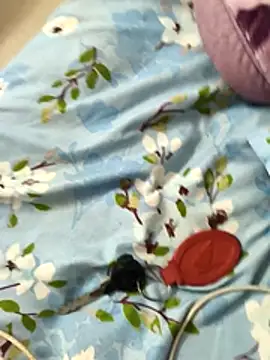 paro22 sex online show from 12/02/25, 04:30