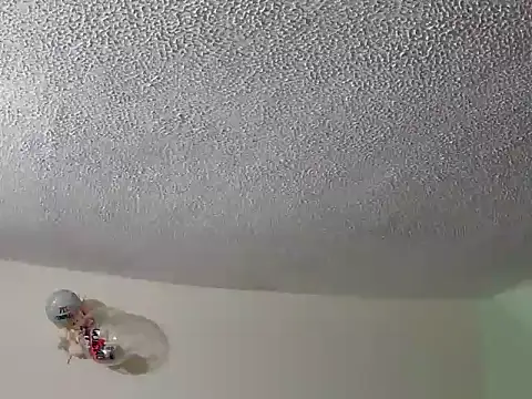 ashleey palmer online show from 12/02/25, 01:39