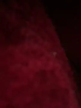 hotel222 online show from 11/27/25, 01:06