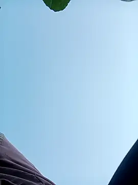 nangmo online show from 11/30/25, 12:11