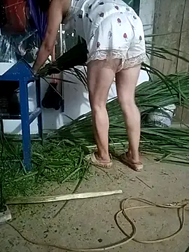 nangmo online show from 07/04/26, 11:27