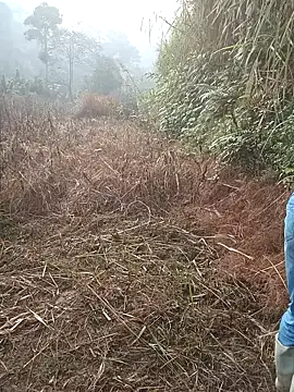 nangmo online show from 03/01/26, 01:16