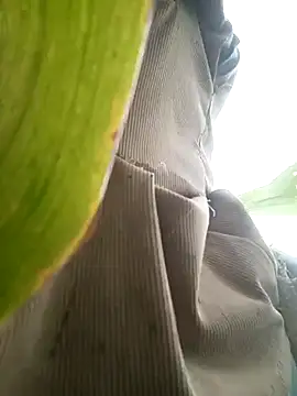 nangmo online show from 07/17/26, 11:46