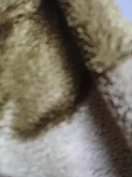 luckyutube online show from 12/21/25, 03:47