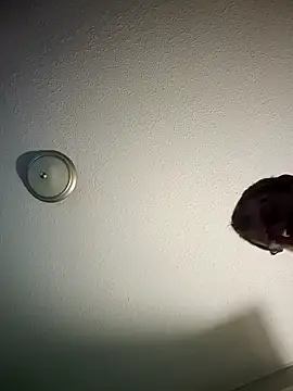 mr girthyandsweetcheeks online show from 02/13/26, 06:35