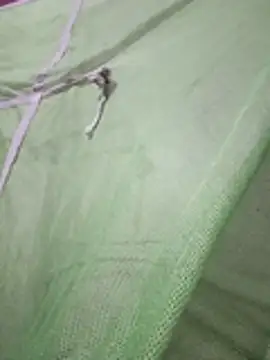 Daily lust online show from 02/27/26, 07:03