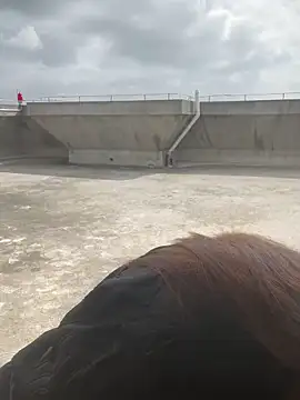 Xiaomili8 online show from 12/20/25, 04:15