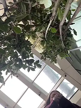 Snapshot of KateBurlesk chatting on 02/01/26, 09:07 KateBurlesk online show from 02/01/26, 09:07