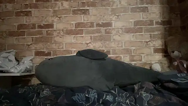 Blair Reid online show from 11/29/25, 04:40