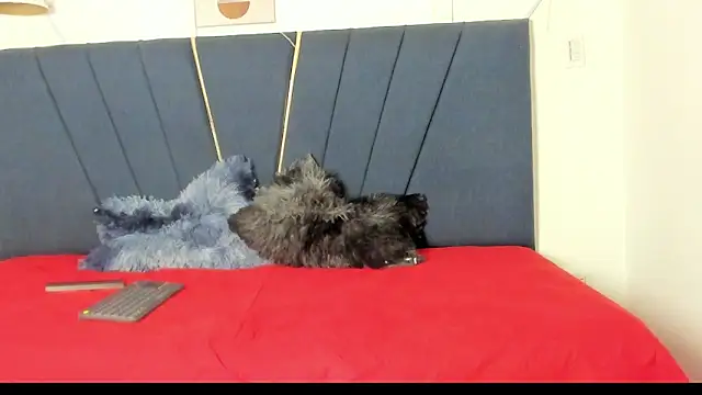 Snapshot of naomi_x0 chatting on 01/18/26, 01:14 naomi x0 online show from 01/18/26, 01:14