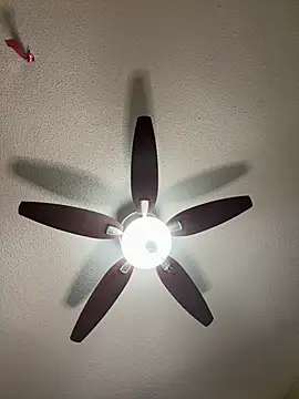 Kiki hammyy online show from 02/20/26, 06:19