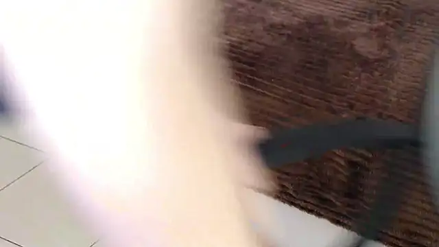 Brandy Gem online show from 02/19/26, 07:49