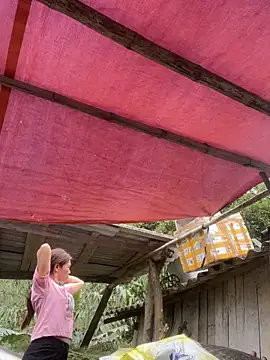 meganmeo online show from 03/24/26, 05:51