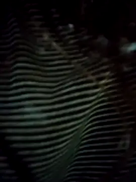 EweXZZ online show from 02/24/26, 02:01