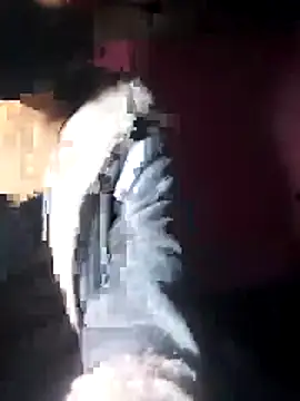 beba1100 online show from 11/30/25, 04:08