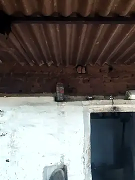 Babita Gori online show from 04/09/26, 02:35