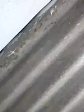 Babita Gori online show from 04/08/26, 02:29