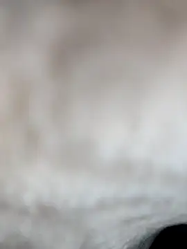 jiniya6789 online show from 01/15/26, 08:18