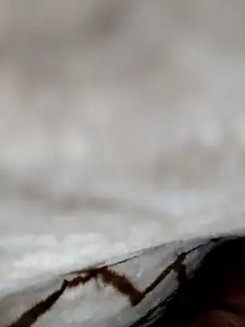 jiniya6789 online show from 01/09/26, 07:54