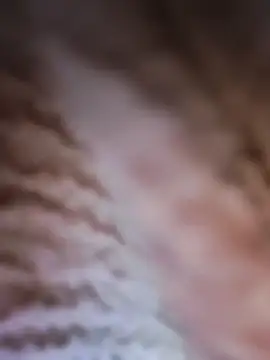 Punam panjabi online show from 02/28/26, 07:52