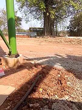 Curvy Vamikaa online show from 01/13/26, 06:50