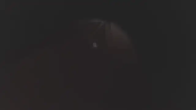 megan lenon online show from 12/19/25, 03:10