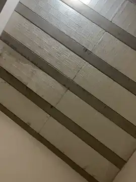 Snapshot of PartiedOmelet chatting on 02/23/26, 05:24 PartiedOmelet online show from 02/23/26, 05:24