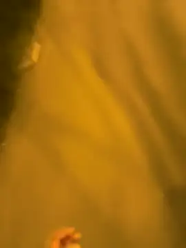 Razvan696969 online show from 04/17/26, 08:33