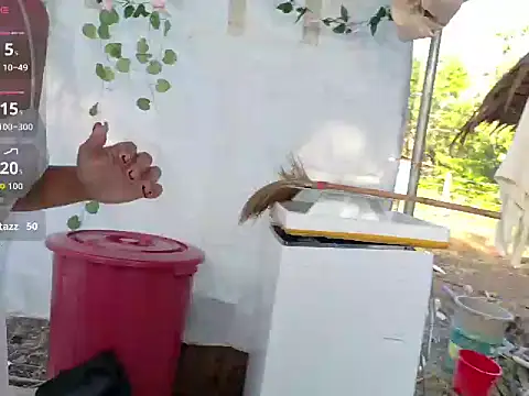 Juliet official pro online show from 03/14/26, 11:33