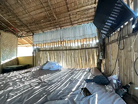 Juliet official pro online show from 04/03/26, 11:44