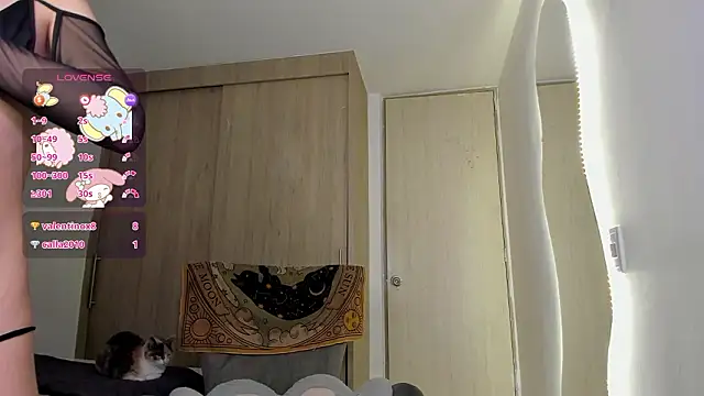 sofy meuw online show from 02/26/26, 06:35