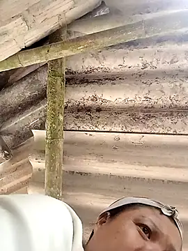 Snapshot of hey-bana chatting on 12/17/25, 03:33 hey-bana online show from 12/17/25, 03:33