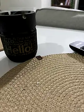 Bigefe online show from 11/28/25, 08:53