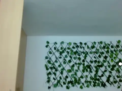 kuroneko 97 online show from 11/29/25, 08:20