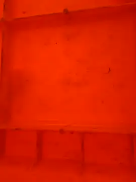 virgin cunt online show from 11/29/25, 12:05