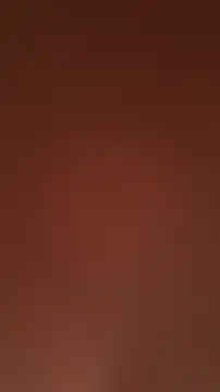 casalde9vinhos online show from 04/11/26, 05:27