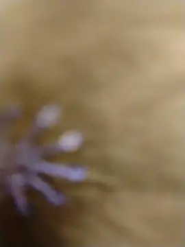 RASHMI SHARMA9 online show from 02/16/26, 04:00