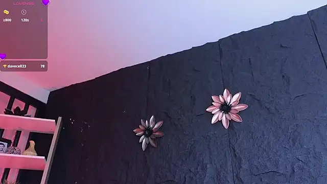 Paulo 527 online show from 01/06/26, 09:30