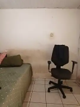 theyllorwillian online show from 02/20/26, 01:13