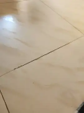 Amit22122 online show from 12/02/25, 08:38