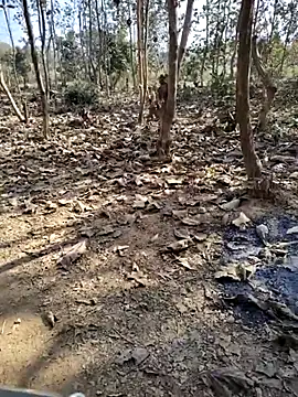 88zaifkhan88 online show from 01/10/26, 04:41