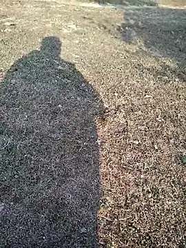 88zaifkhan88 online show from 01/14/26, 03:32