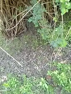 88zaifkhan88 online show from 03/02/26, 05:08