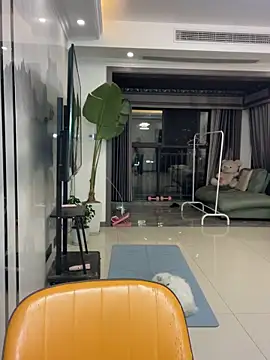 DMG-41 online show from 12/02/25, 12:29