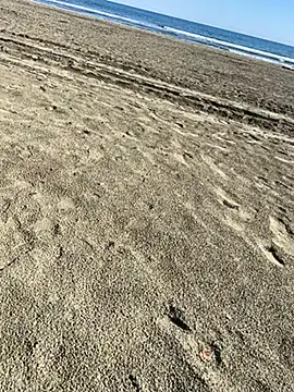 ratemydickbabe online show from 12/01/25, 09:32