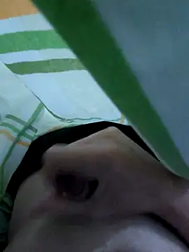 LoiroSafadinho online show from 02/28/26, 03:17