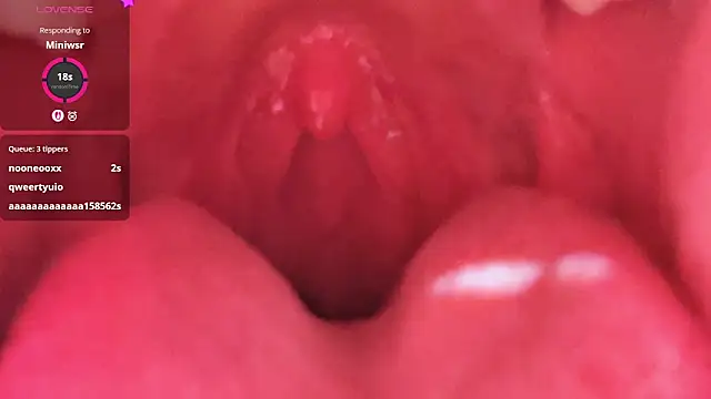 LT-333 online show from 02/26/26, 05:24