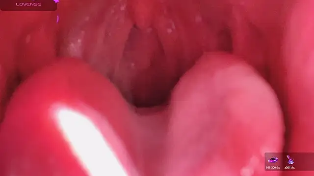 LT-333 online show from 03/06/26, 02:56