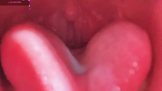 LT-333 online show from 02/25/26, 05:13